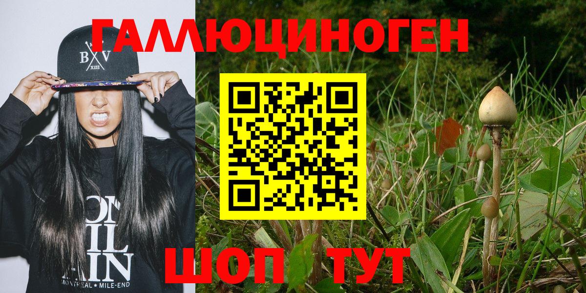 Галлюциногенные грибы GOLDEN TEACHER Дагестанские Огни