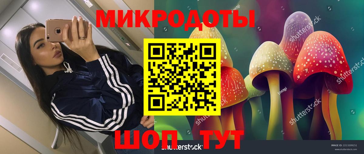 Псилоцибиновые грибы мухоморы  Вход с VPN  Дагестанские Огни  Псилоцибиновые грибы мухоморы 